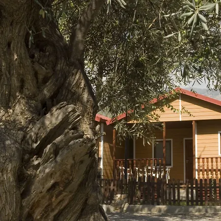 奥吉瓦露营酒店 2* 奥尔希瓦